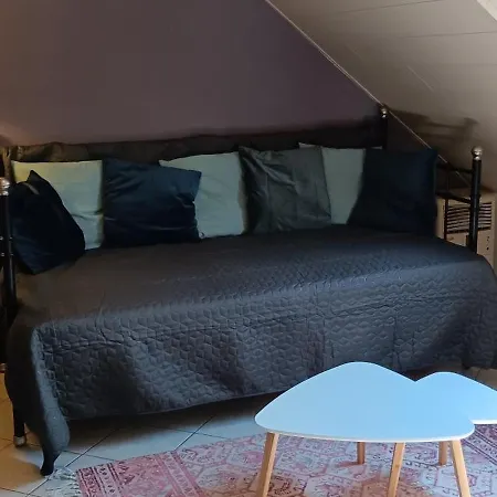 公寓 Romantische Rheingold 50 Qm Fuer 2 Bis 4 P