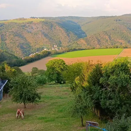 公寓 Romantische Rheingold 50 Qm Fuer 2 Bis 4 P *