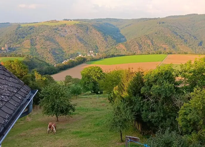 Lägenhet Romantische Rheingold 50 Qm Fuer 2 Bis 4 P *